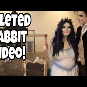 Moses & Trisha DELETE Rabbit Chair Video!